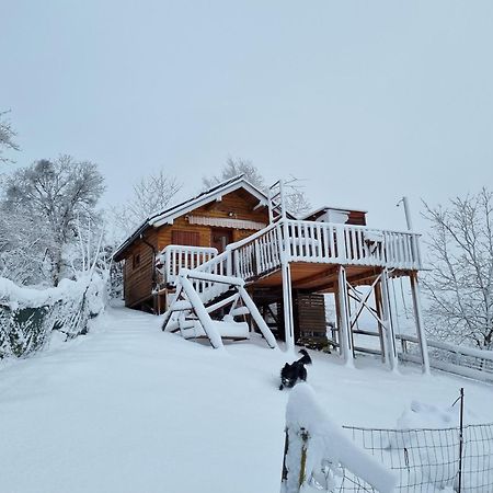 Gnezdo Vid-Ik Villa Catez ob Savi Eksteriør bilde