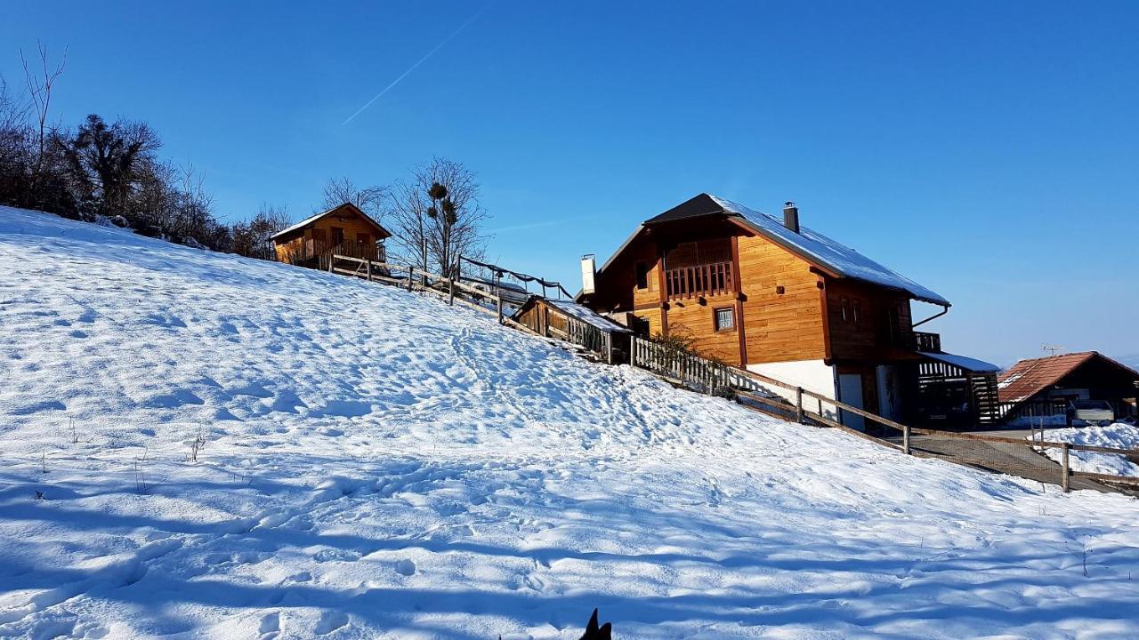 Gnezdo Vid-Ik Villa Catez ob Savi Eksteriør bilde